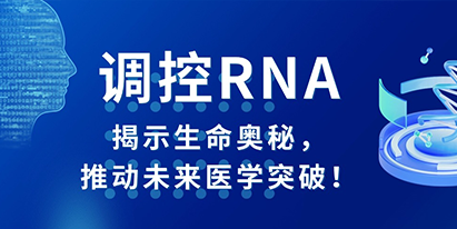 調(diào)控RNA：揭示生命奧秘，推動(dòng)未來(lái)醫(yī)學(xué)突破！