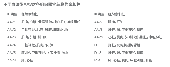 不同血清型AAV對(duì)各組織器官細(xì)胞的親和性